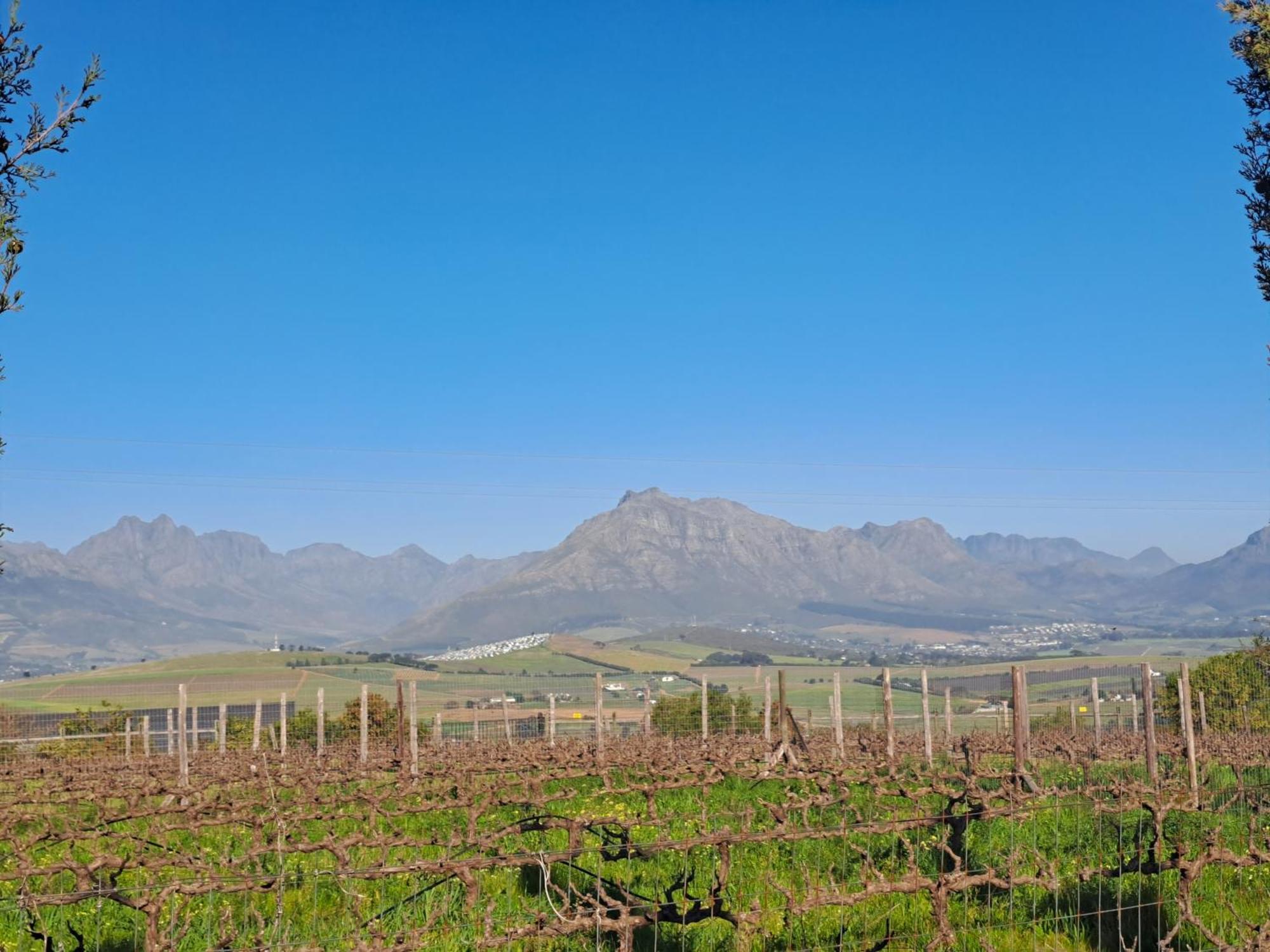 Apartmán Domaine Coutelier Stellenbosch Pokoj fotografie