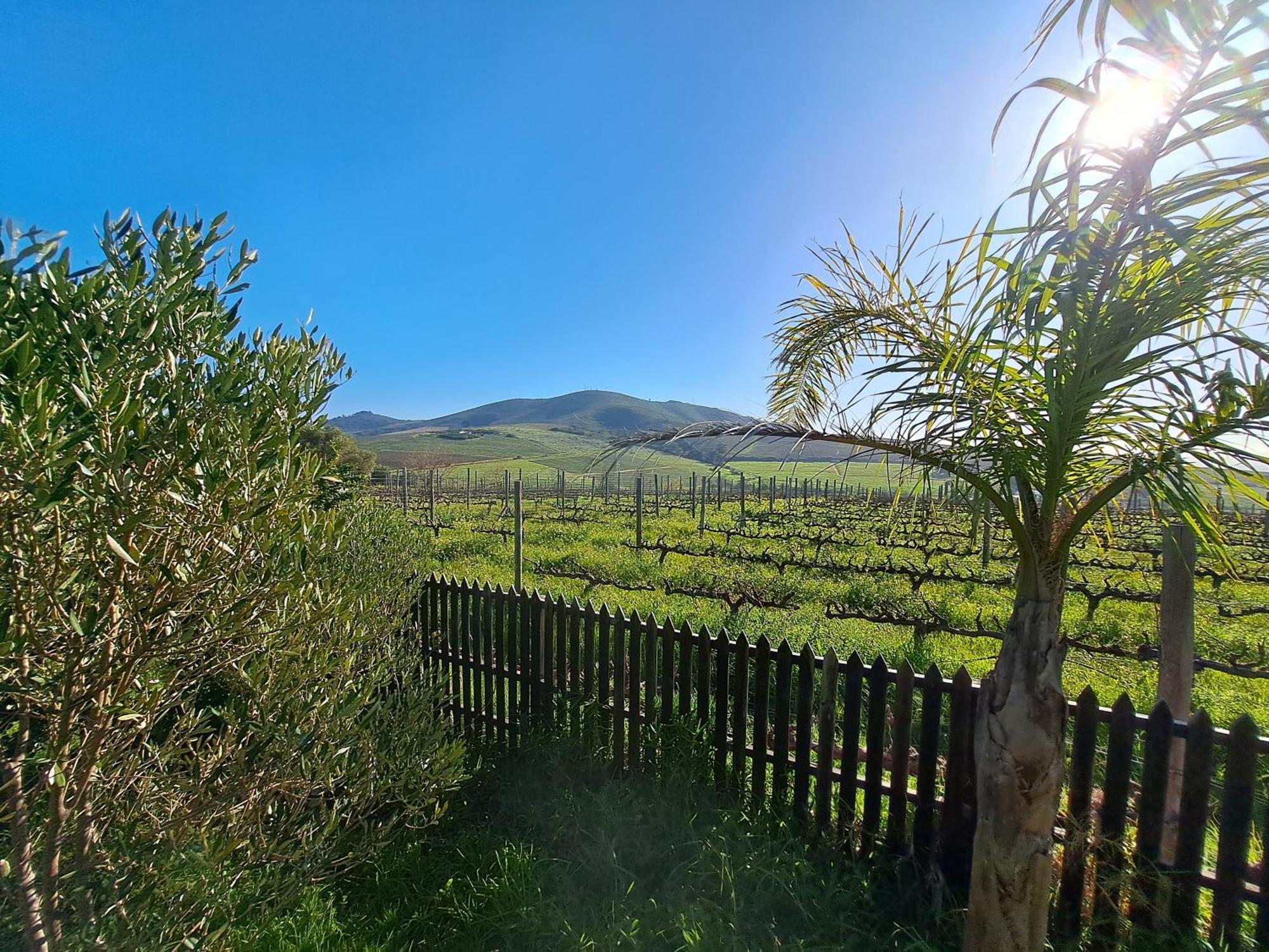 Apartmán Domaine Coutelier Stellenbosch Pokoj fotografie