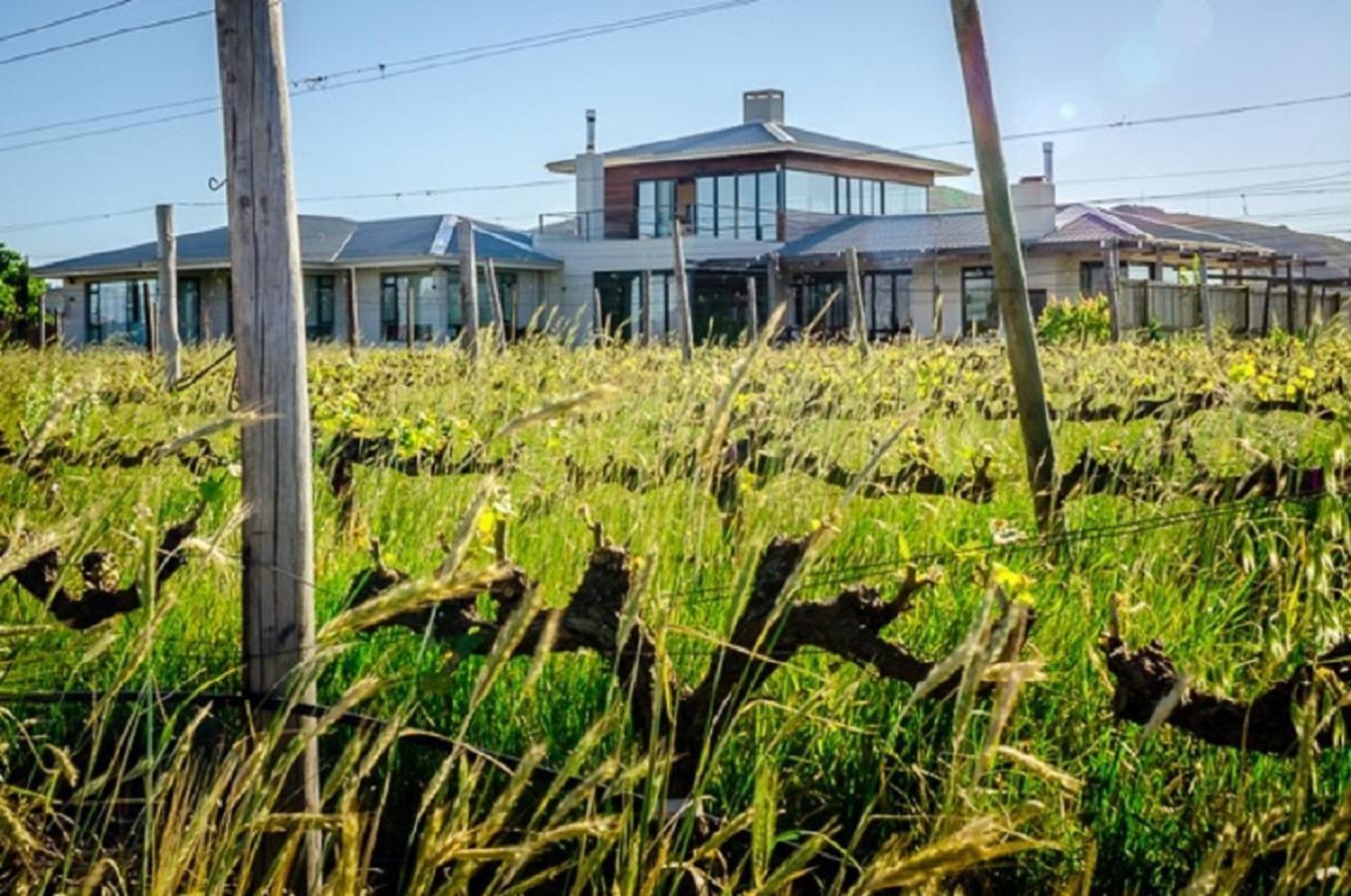 Apartmán Domaine Coutelier Stellenbosch Exteriér fotografie