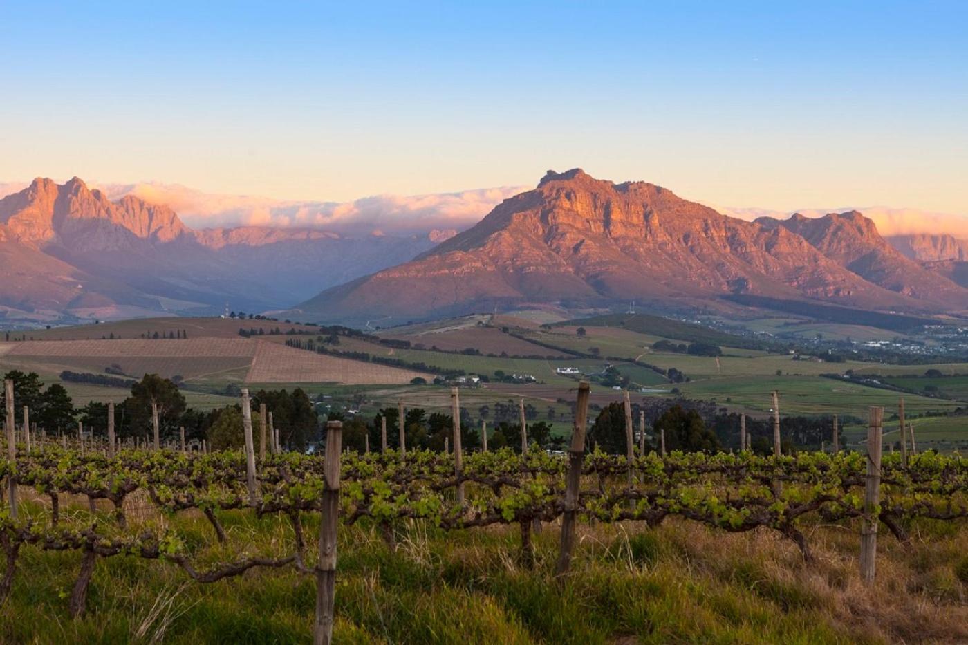 Apartmán Domaine Coutelier Stellenbosch Exteriér fotografie