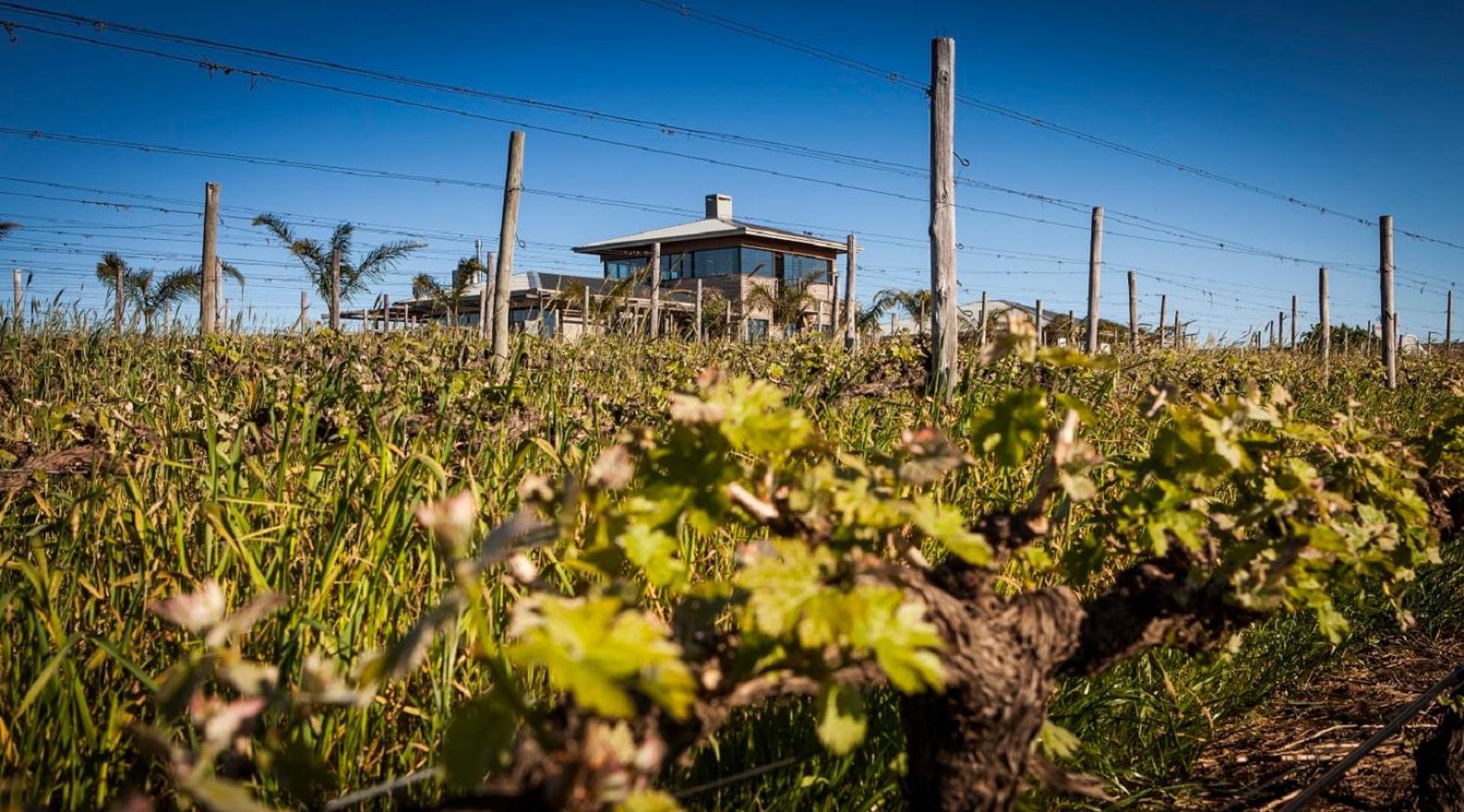 Apartmán Domaine Coutelier Stellenbosch Exteriér fotografie